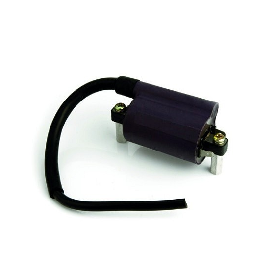 Bobina Ignicao Intruder 125 (magnetron) 90202420