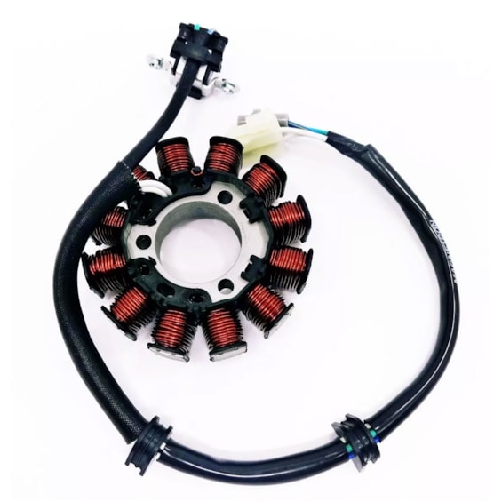 Estator Completo YBR 125 / XTZ 125 2002-05 (magnetron)