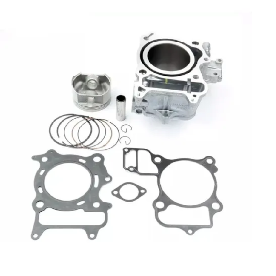 Cilindro Motor Completo SH 300I 16/21 (alpha)