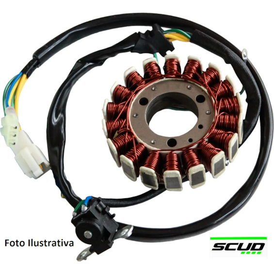 Estator Completo Tornado 250 (SCUD) 10660013