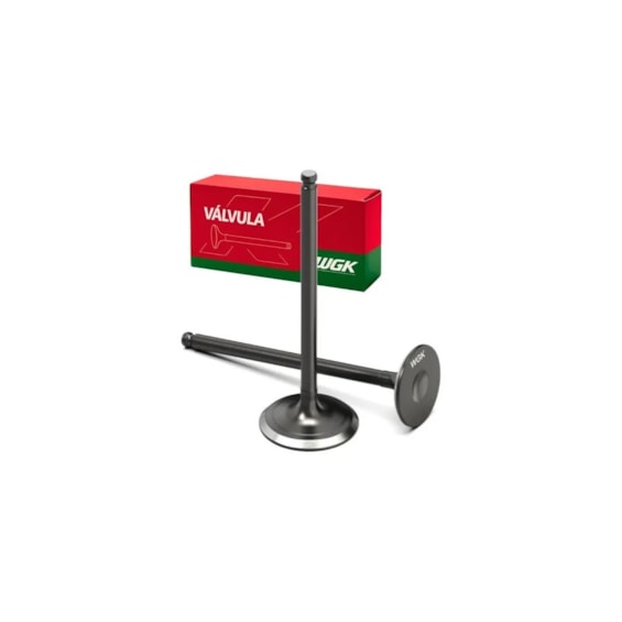 VALVULA DE ESCAPE CG-150 TITAN (WGK) 10111371